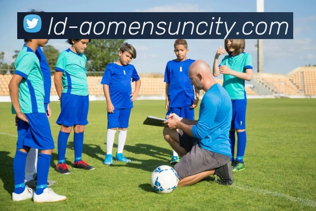 太阳城网站服务体系